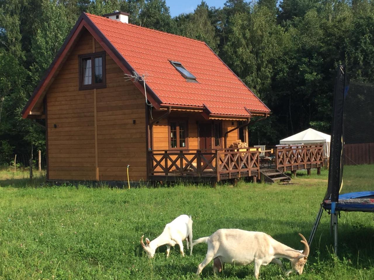 Wypoczynek Na Mazurach U Sebka Vila Łukta Exterior foto
