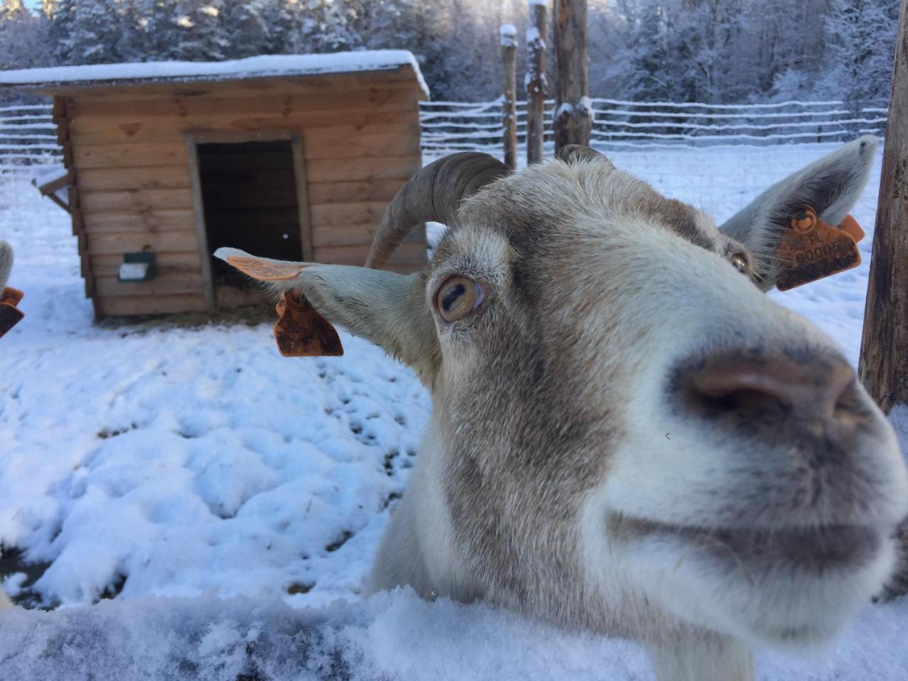 Wypoczynek Na Mazurach U Sebka Vila Łukta Exterior foto